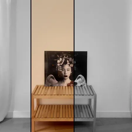Parmigianino Nove Lejlighed *